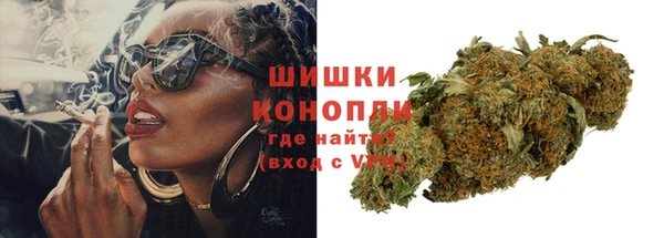 шишки Верея