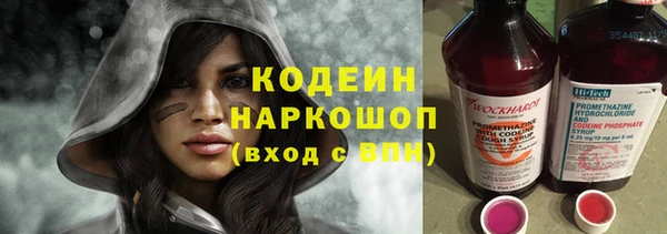 шишки Верея