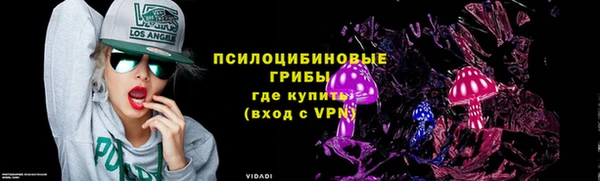 прущий лед Костерёво