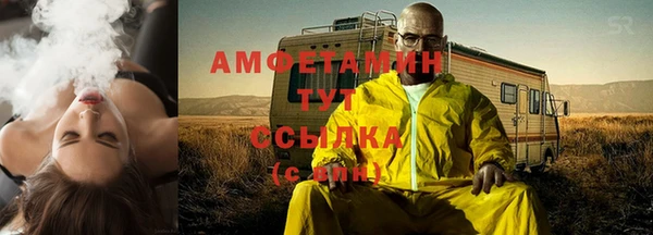 шишки Верея