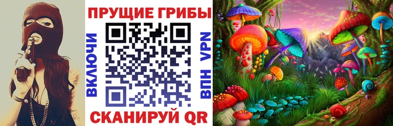 Псилоцибиновые грибы прущие грибы  Гаврилов-Ям 