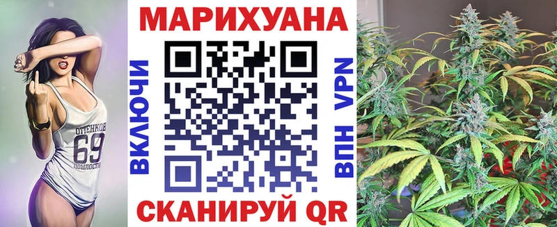 МАРИХУАНА сатива Гаврилов-Ям